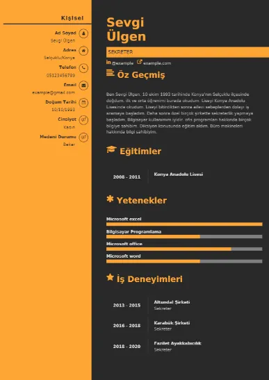 Sekreter Örnek cv indir